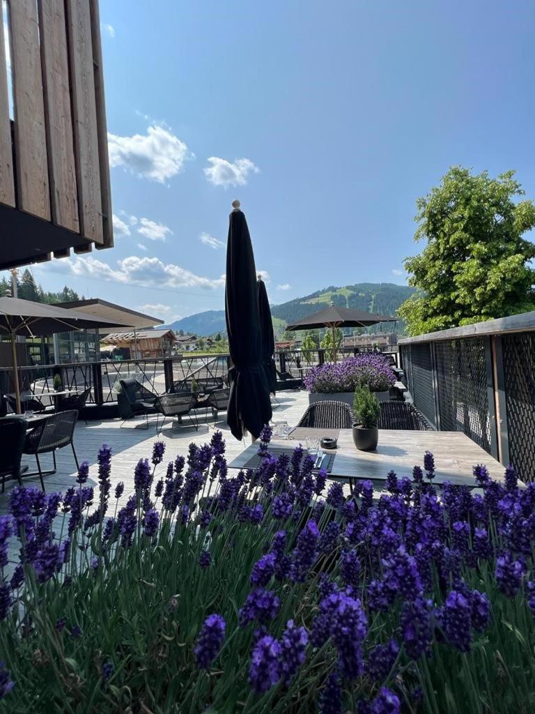 Almmonte Praeclarum Suites Design Hotel Wagrain Exterior photo